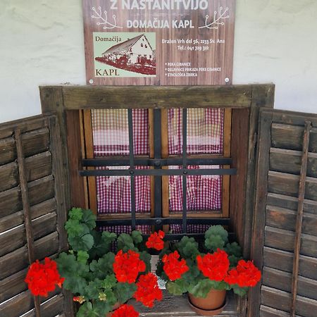 Homestay Kapl Ledinek Esterno foto