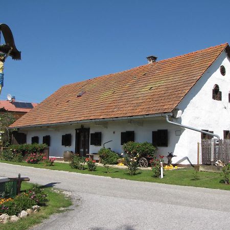Homestay Kapl Ledinek Esterno foto