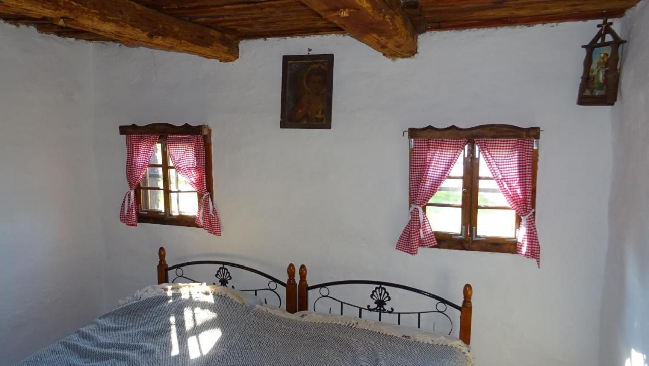 Homestay Kapl Ledinek Esterno foto