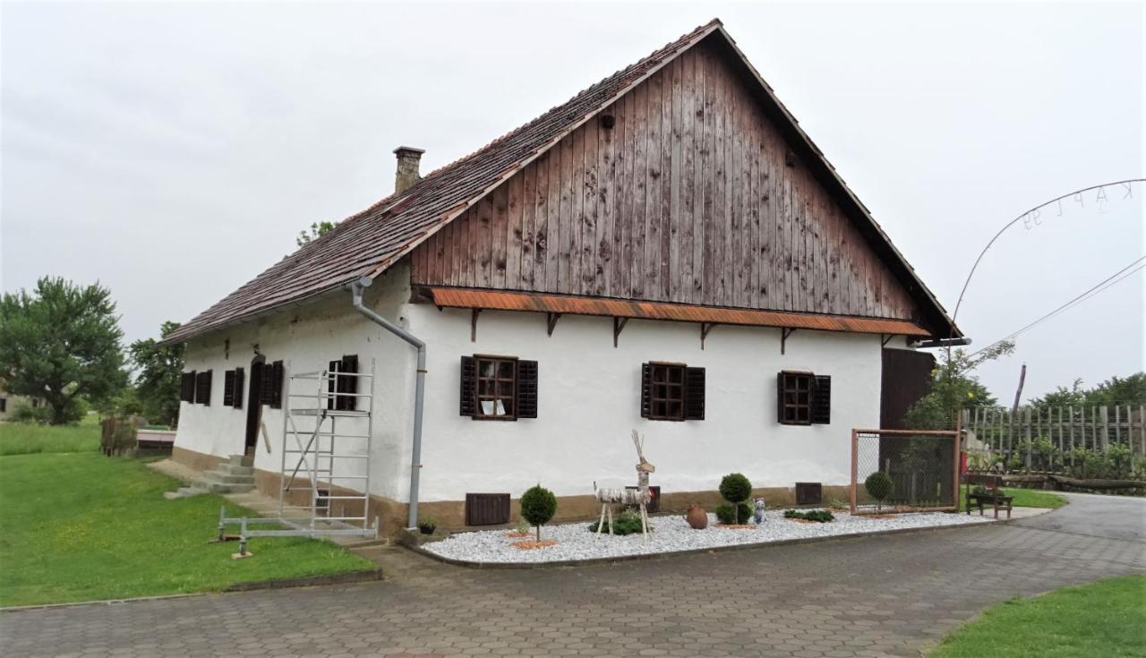 Homestay Kapl Ledinek Esterno foto