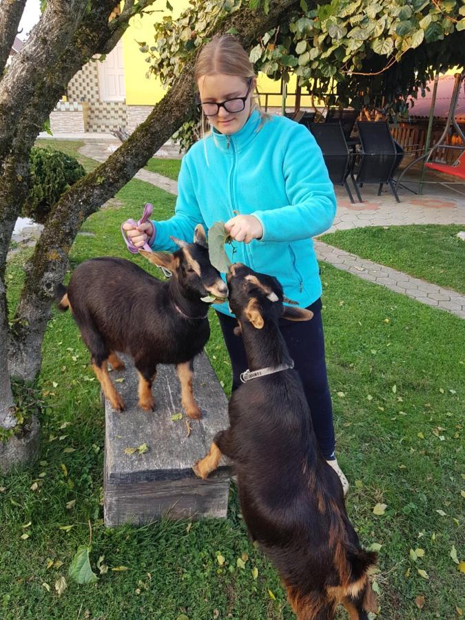 Homestay Kapl Ledinek Esterno foto