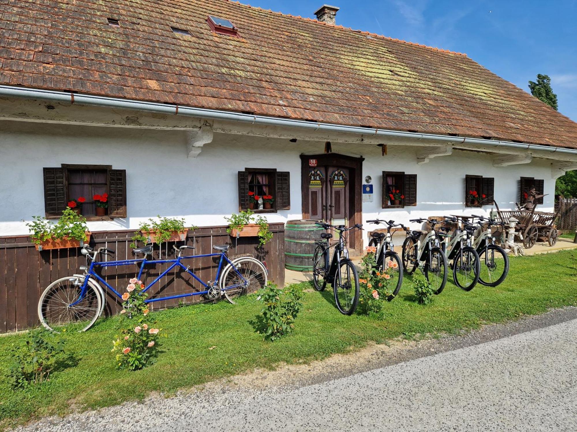Homestay Kapl Ledinek Esterno foto