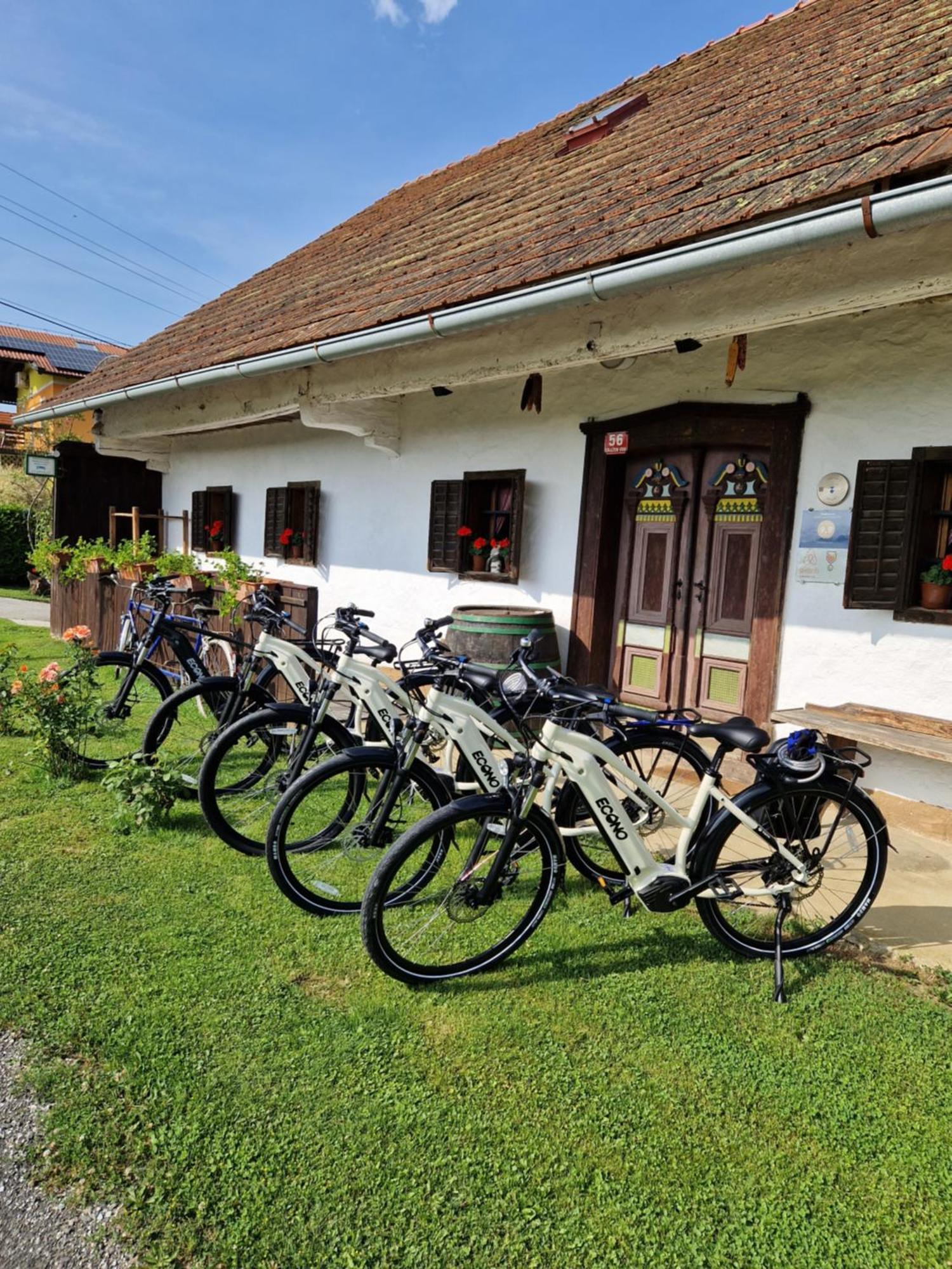 Homestay Kapl Ledinek Esterno foto