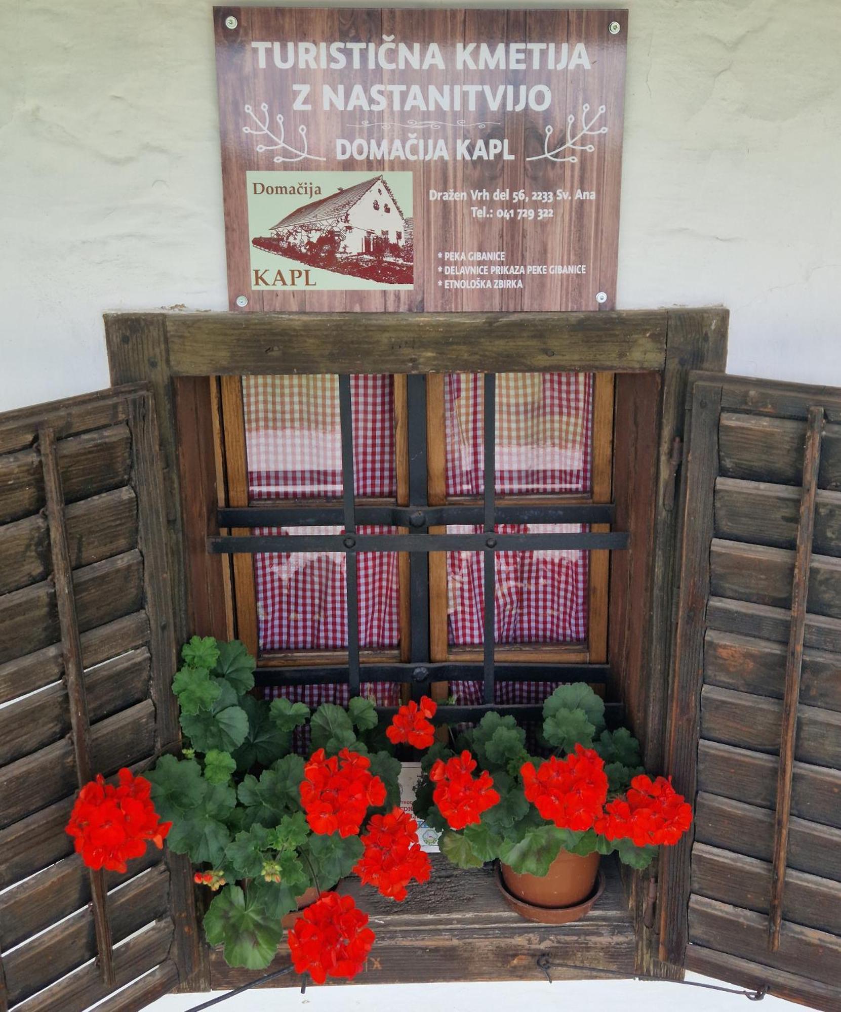 Homestay Kapl Ledinek Esterno foto