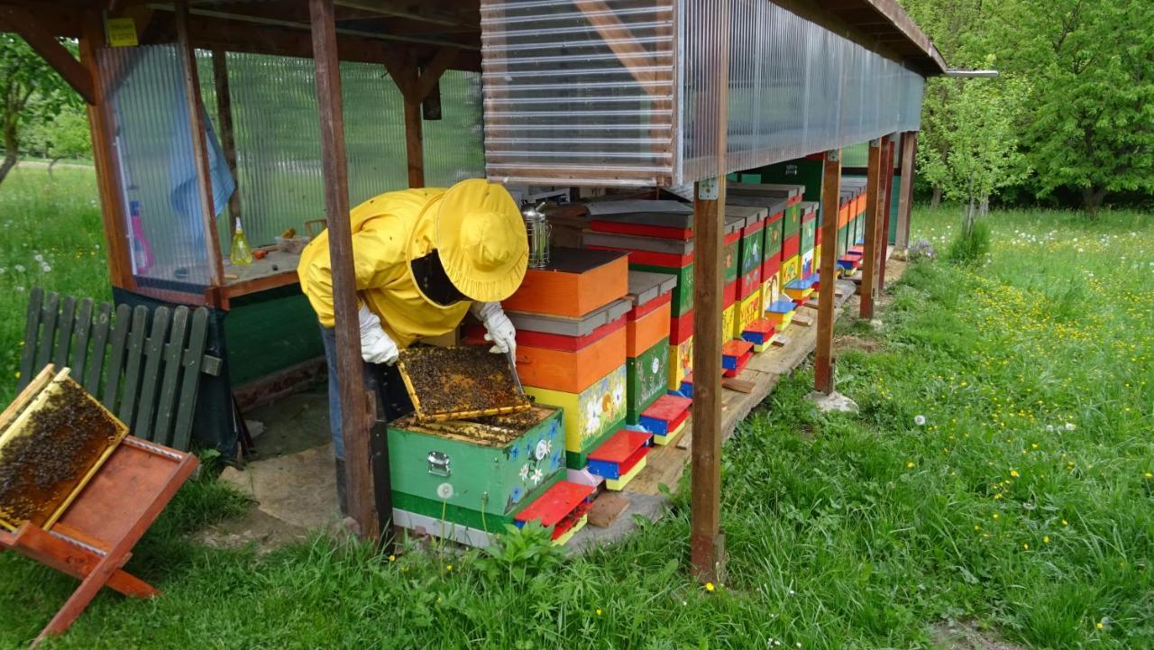 Homestay Kapl Ledinek Esterno foto