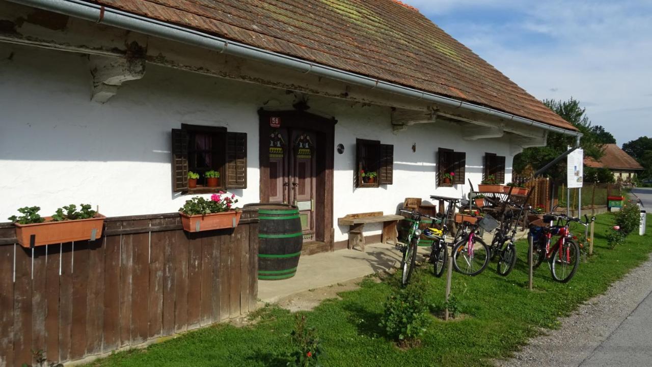 Homestay Kapl Ledinek Esterno foto