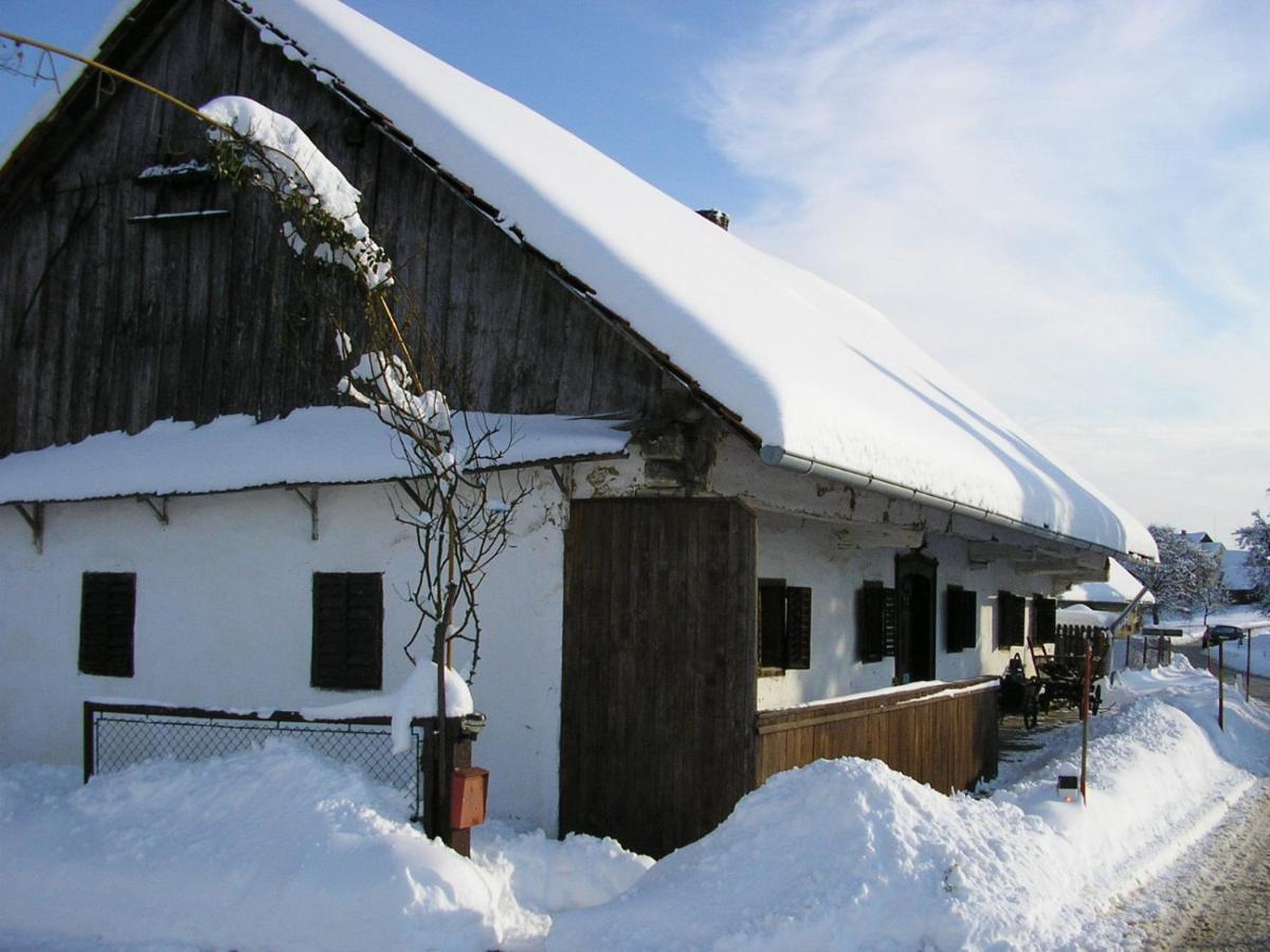 Homestay Kapl Ledinek Esterno foto