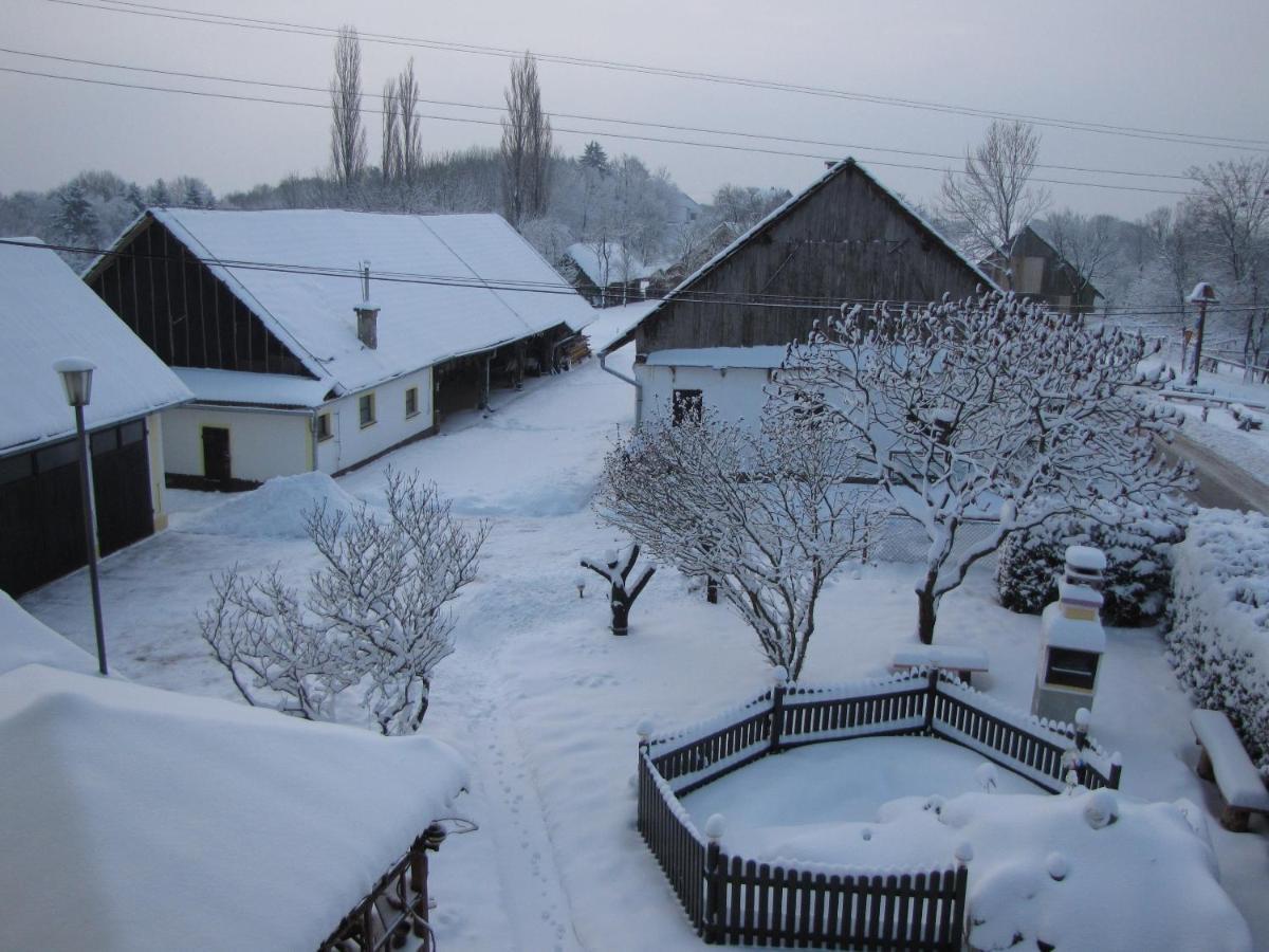 Homestay Kapl Ledinek Esterno foto